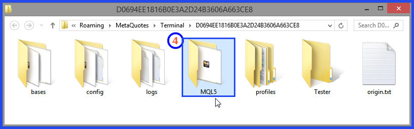 Open MQL5 Folder