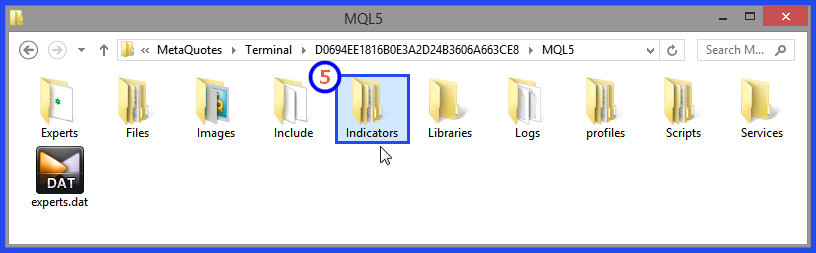 Open Indicators Folder